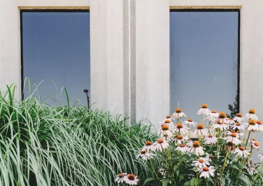House exterior with mini garden