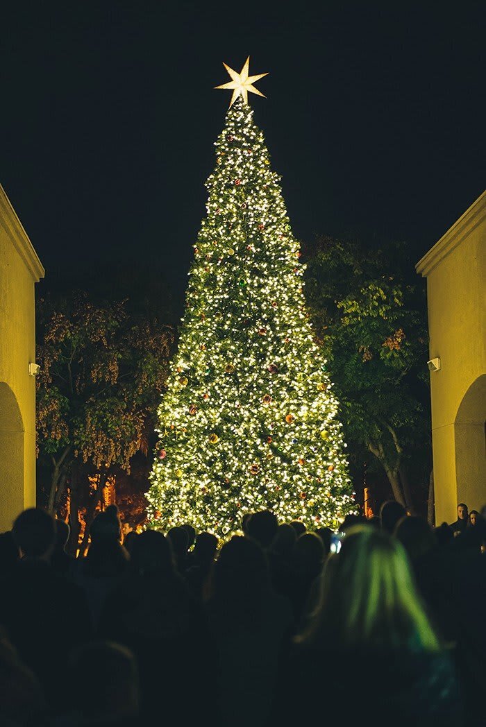 A brightly lit Christmas tree with a star on top, surrounded by a crowd at night.